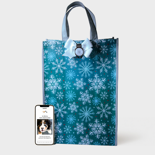 Believe | Large | Reusable Gift Bag + QR Greeting Card