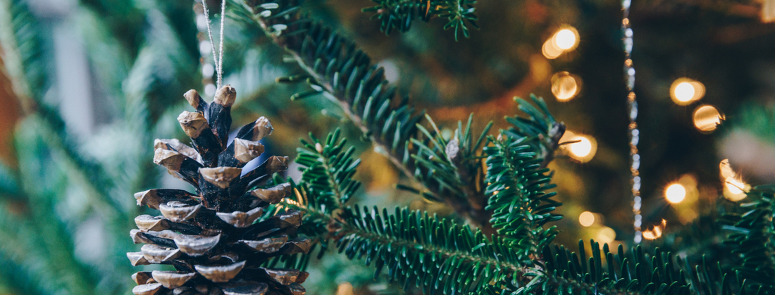 How To Make Your Holiday Season Sustainable | Less Waste and More Joy