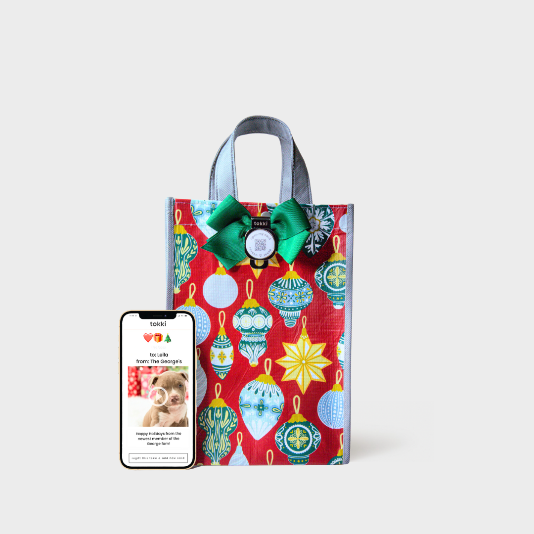 Dazzle | Large | Reusable Gift Bag + QR Greeting Card
