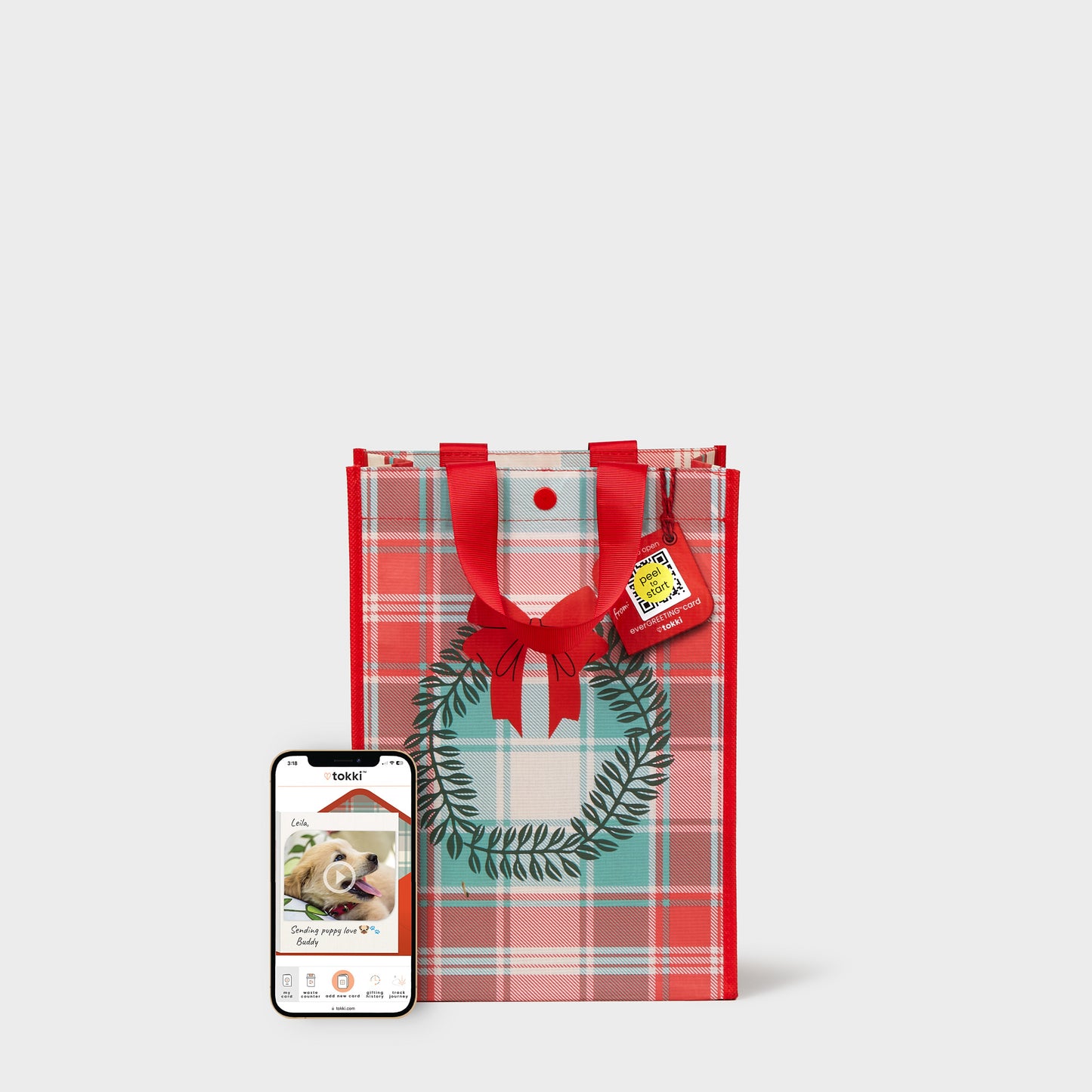 Wreath | Medium | Gift Bag + EverGREETING™️ Card